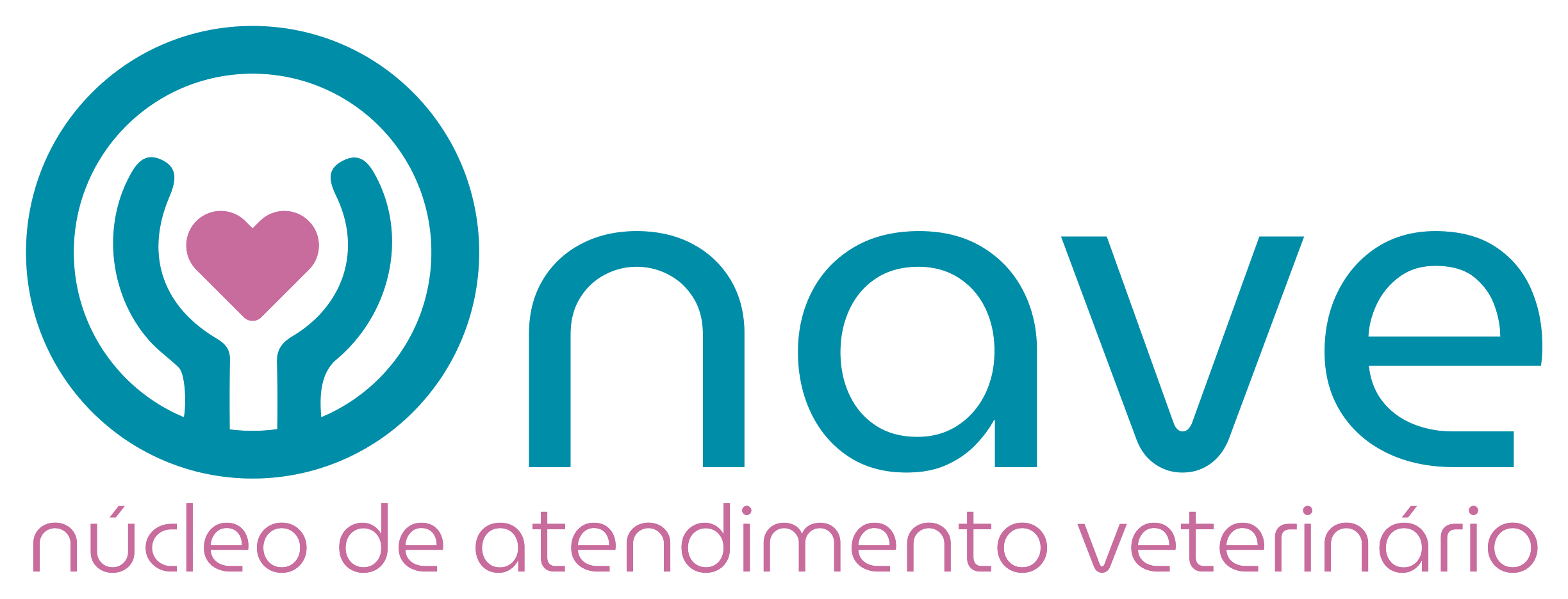 NAVE